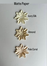 Load image into Gallery viewer, Matte Paper Colours Choices
